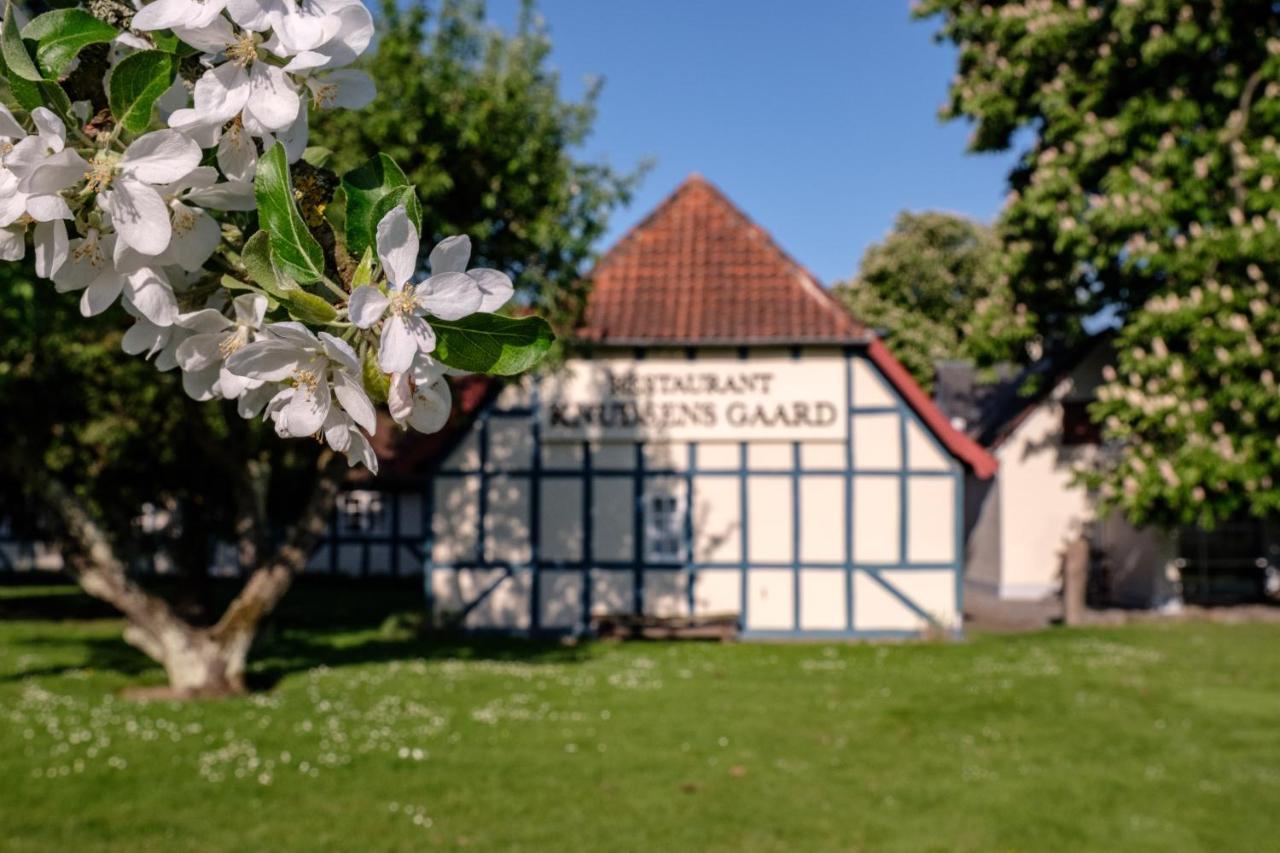 Hotel Knudsens Gaard Odense Kültér fotó